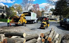 Best Aeration Services  in Diamond Springs, CA