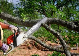 Best Lawn Irrigation Installation and Maintenance  in Diamond Springs, CA